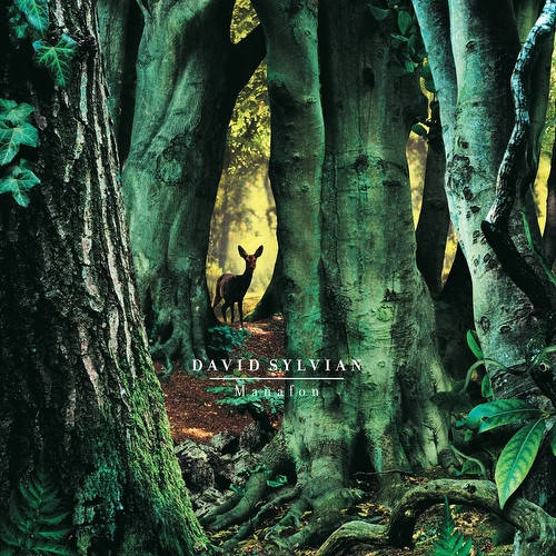 David Sylvian – Manafon (2LP)